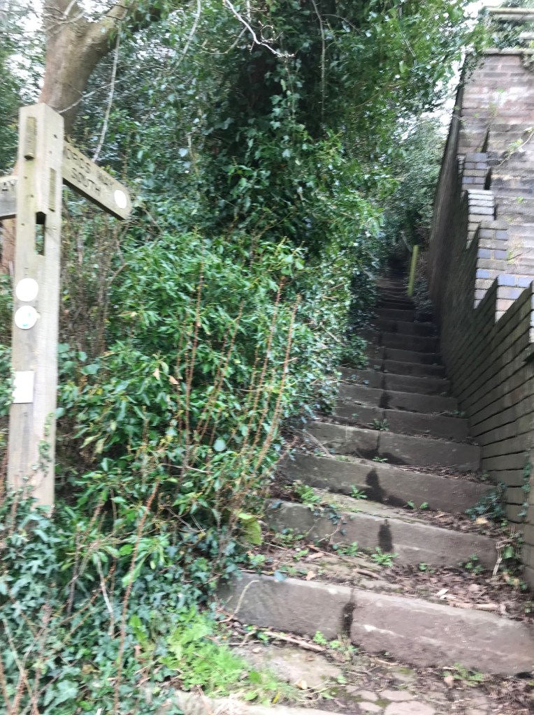 A steep flight of steps from Old Hollow to West Malvern Road on the Worcestershire Way.