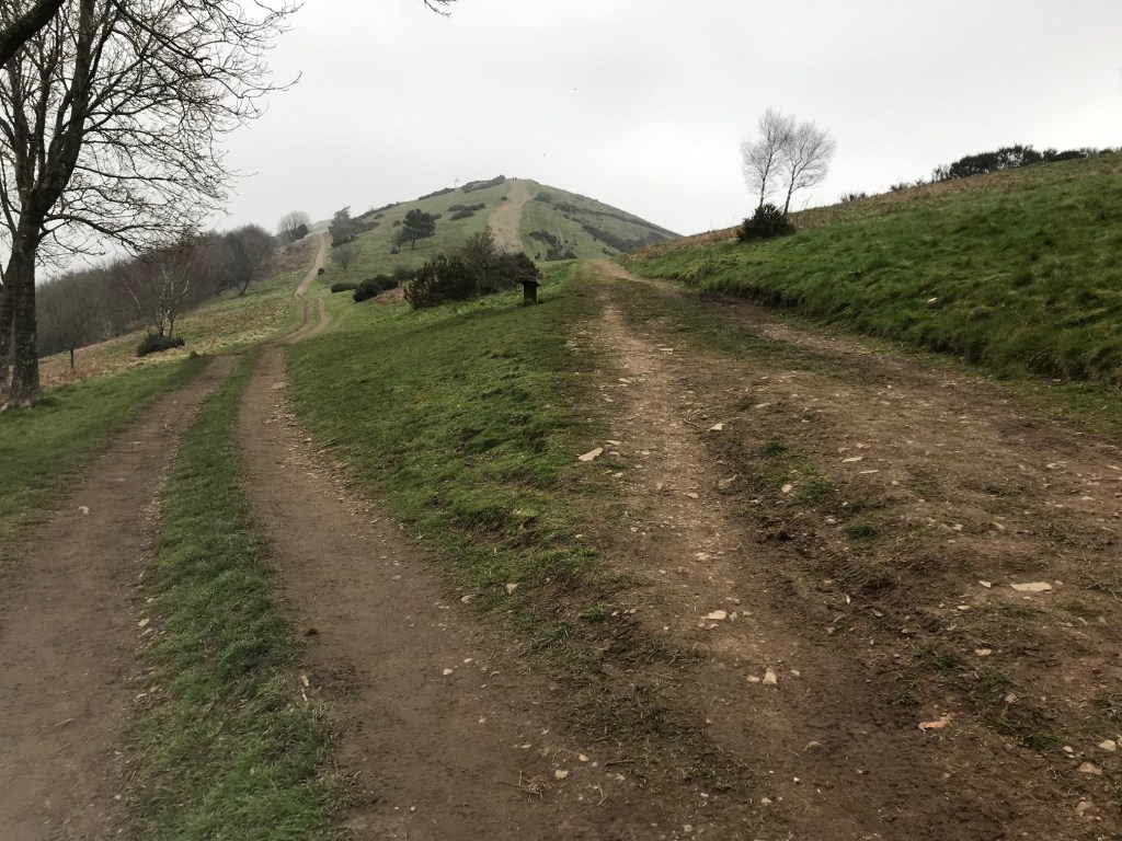 A view up to Pinnacle Hill